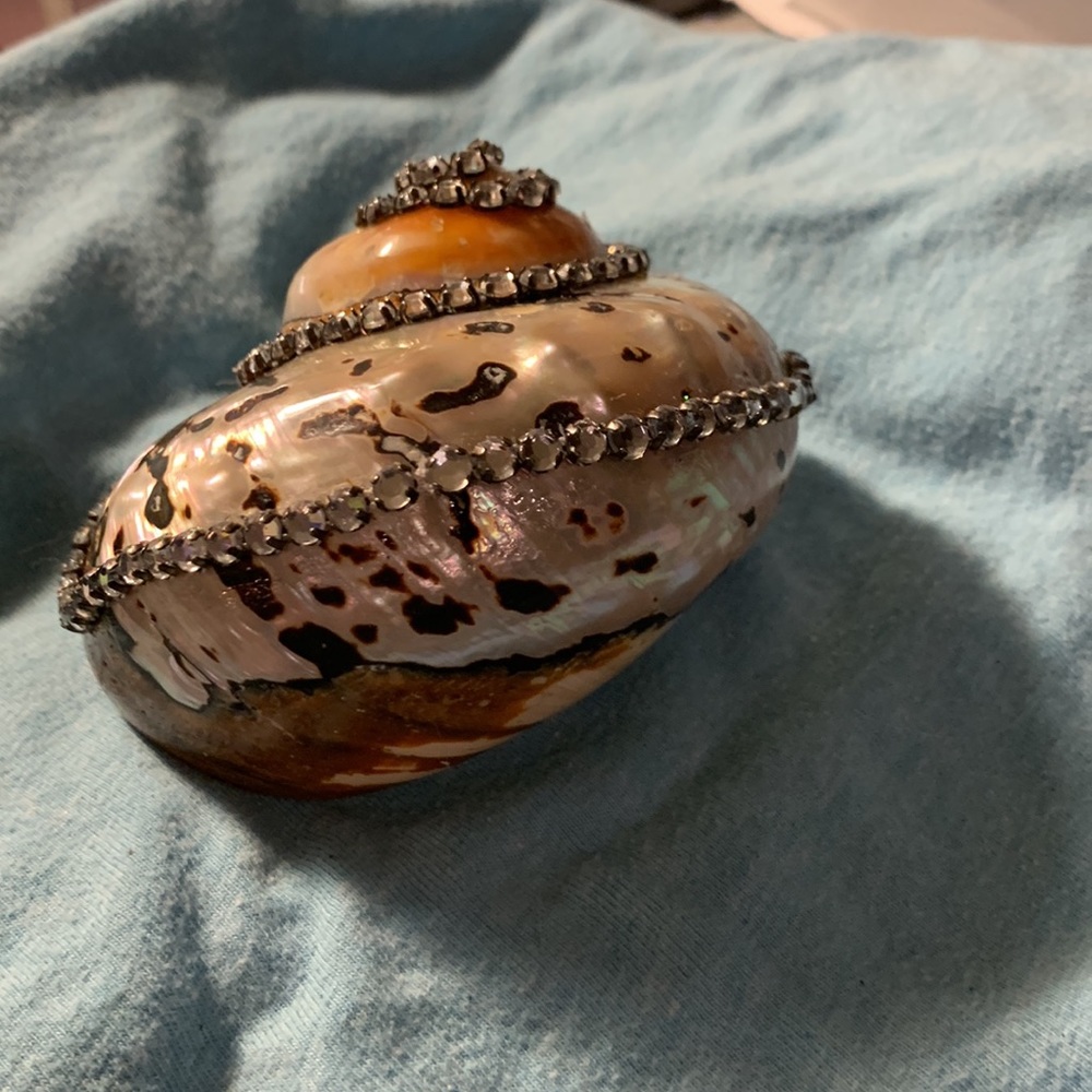 Decorated Sea shell with a wonderful combination of mother of pearl colors. - Picture 5 of 6